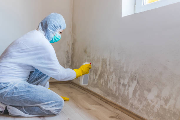 Licensed Bathroom Mold Removal service in Wernersville, PA - WQB Mold Removal