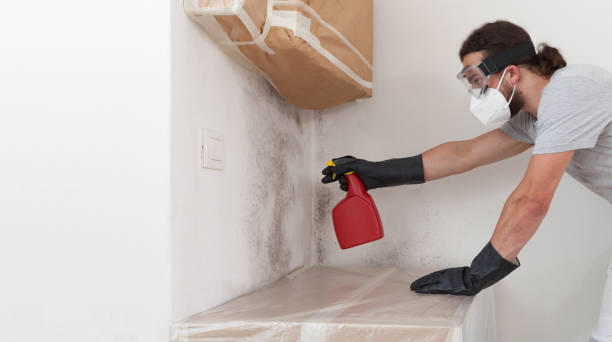 Professional Bathroom Mold Removal technician working in Wernersville, PA