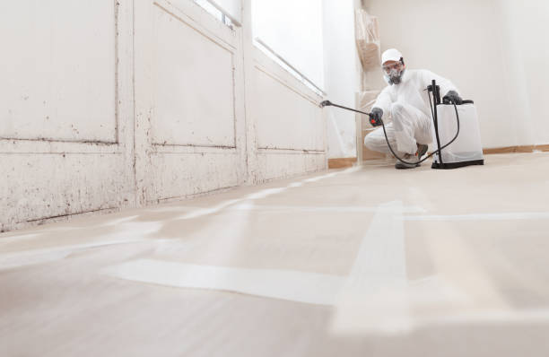 24/7 Emergency Bathroom Mold Removal experts in Wernersville, PA